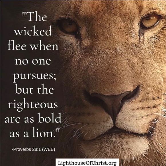 Meet your Posher, Holy - Picture 7 of 16